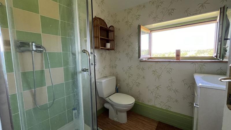 Maison bourgeoise - 300 m² - 12 pièces