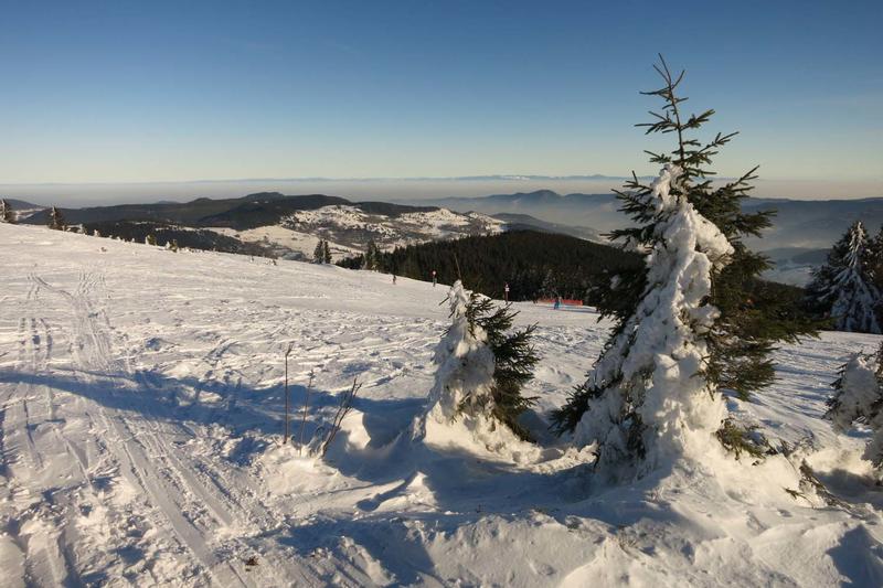 Club Vosgien : Randonnée raquettes des Trois Fours au Hohneck