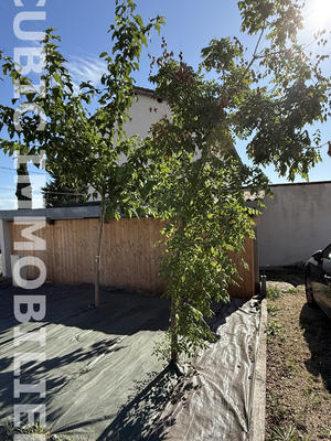 Maison - 120 m² - 4 pièces