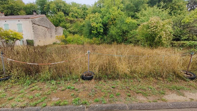 Terrain constructible - 1 069 m²