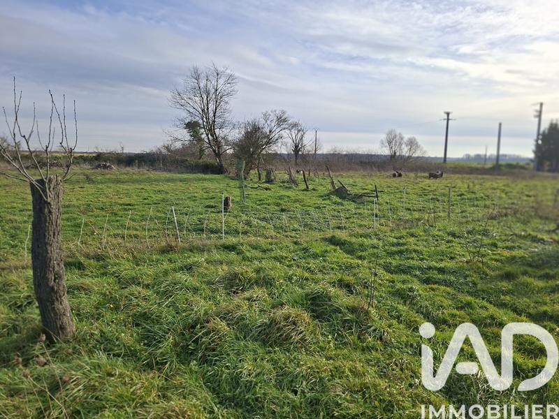 Maison - 113 m² - 4 pièces