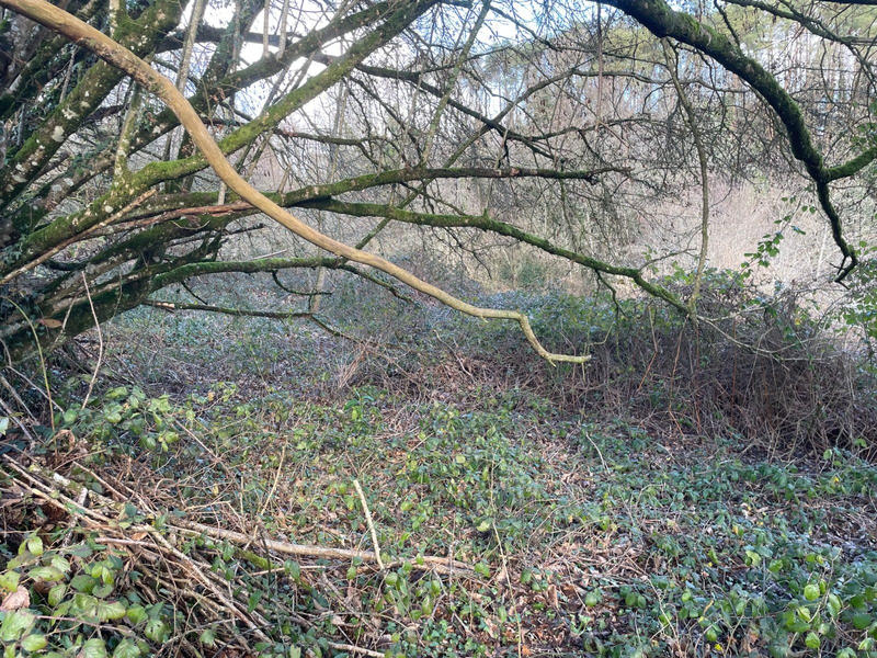 Terrain de loisirs - 9 993 m²