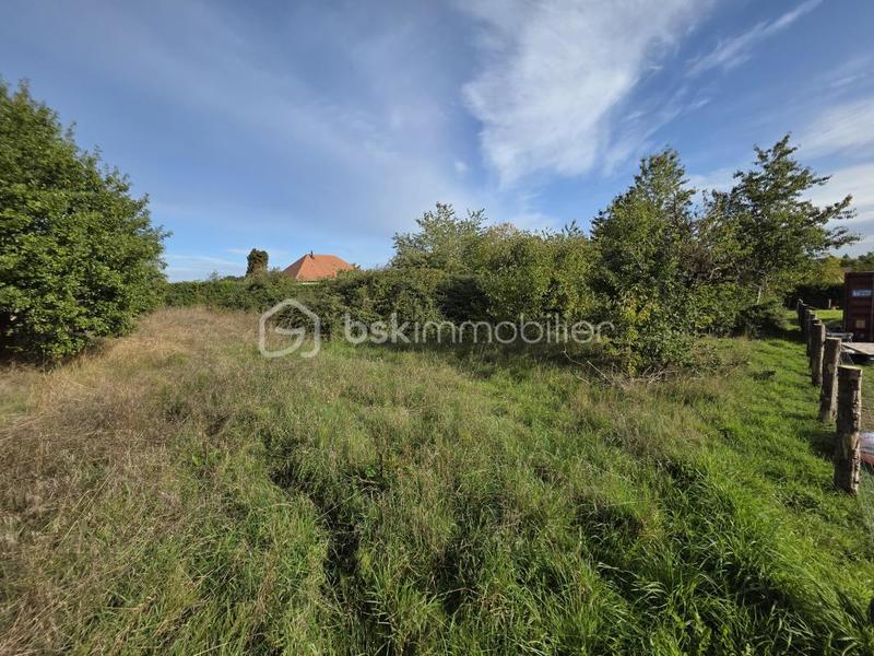 Terrain constructible - 1 831 m²