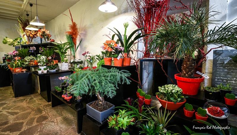 Black Baccara la Paillotte...