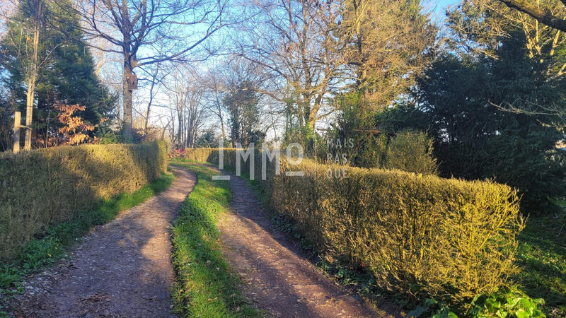 Maison - 230 m² - 6 pièces