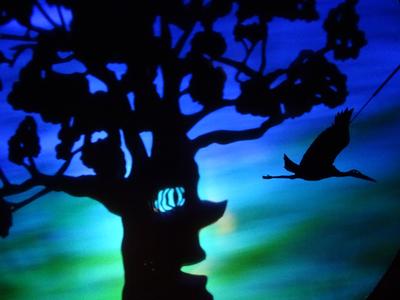 L'envolée de Shemza