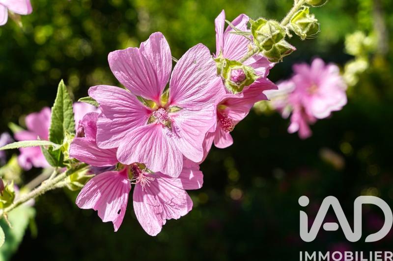 Maison - 220 m² - 9 pièces