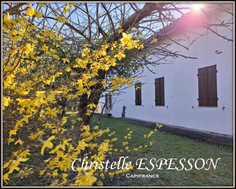 Maison - 174 m² - 6 pièces