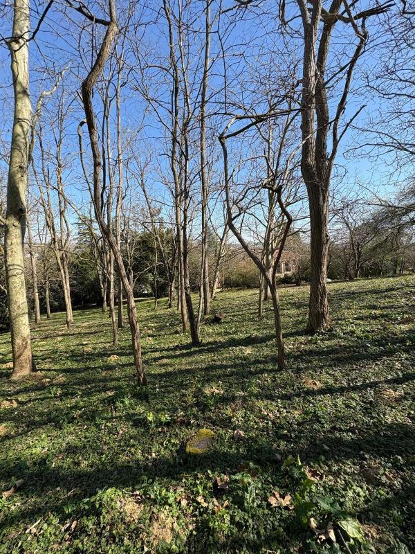 Maison d'architecte - 208 m² - 7 pièces