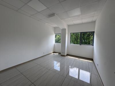 Bureau - 380 m² - 4 pièces