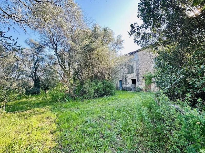 Propriété - 300 m² - 15 pièces