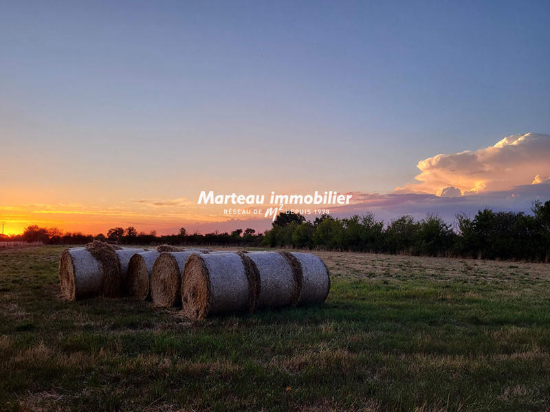 Maison - 230 m² - 10 pièces