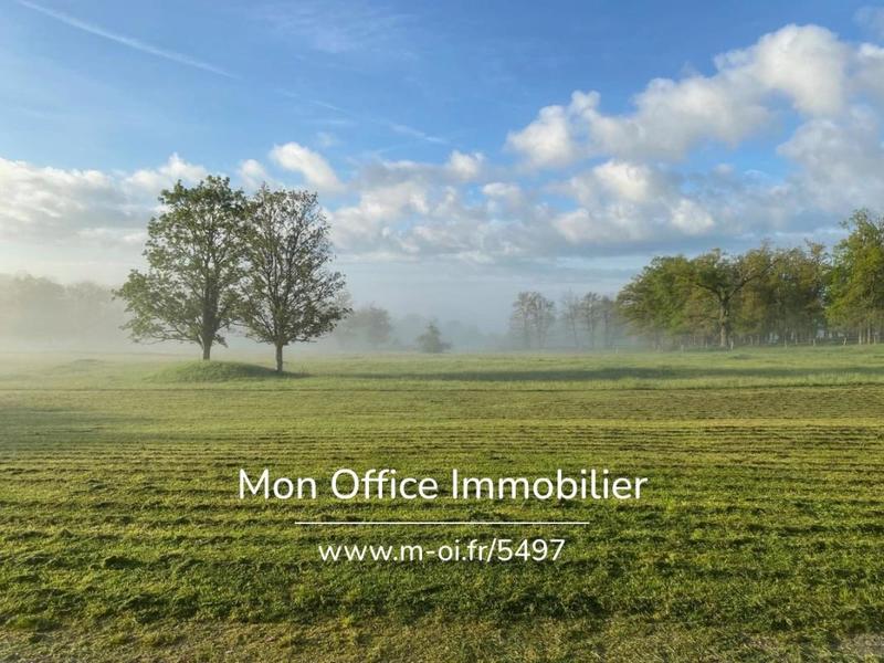 Château - 1 389 m² - 36 pièces