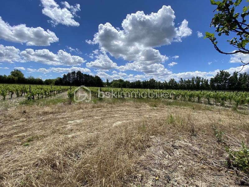 Terrain agricole - 30 000 m²