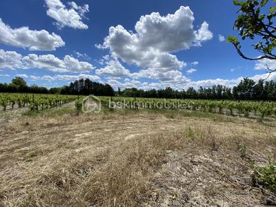 Terrain agricole - 30 000 m²