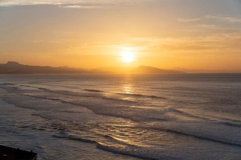 Studio - 30 m² - 1 pièce