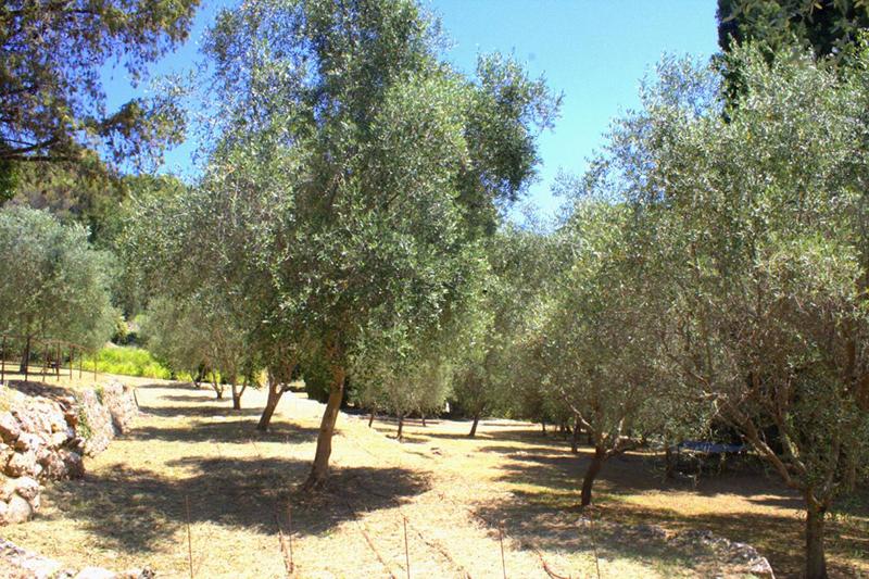 Maison - 300 m² - 12 pièces