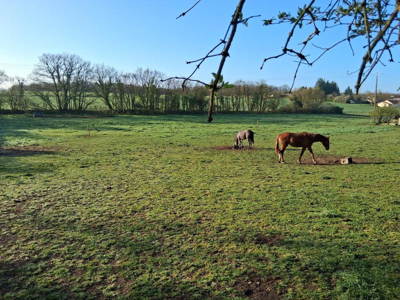 Maison - 146 m² - 4 pièces