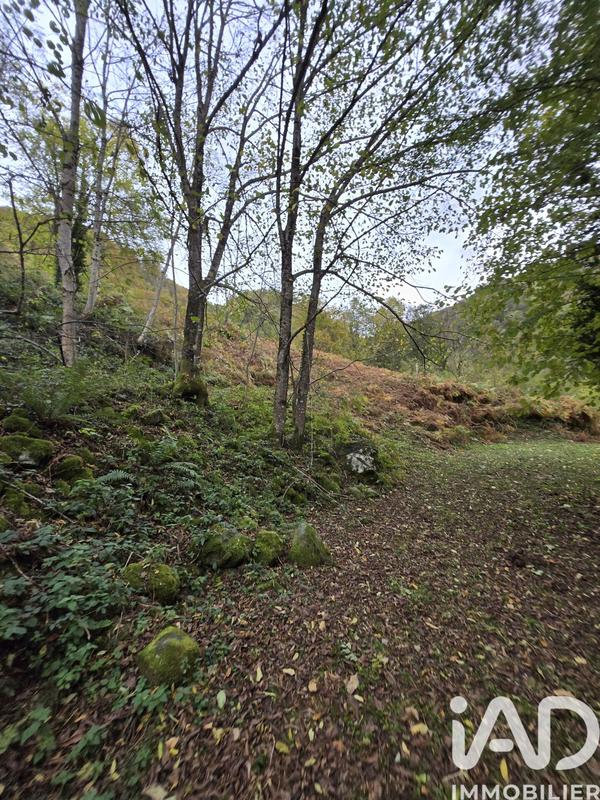 Terrain agricole - 3 915 m²