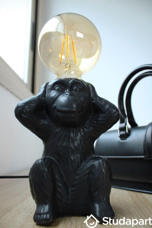 Chambre - 10 m² - 1 pièce