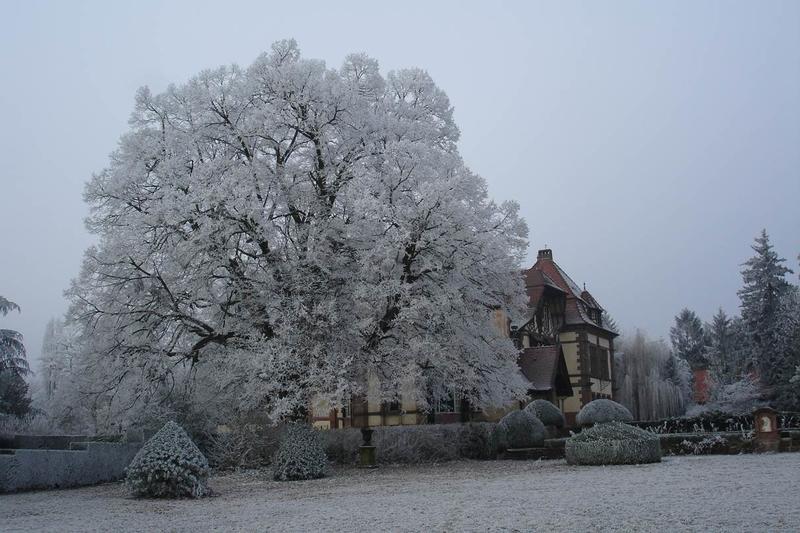 Le parc de la Léonardsau Réf 08