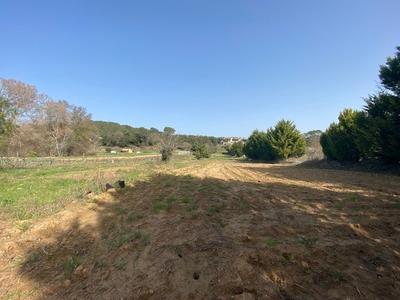 Terrain agricole - 4 770 m²