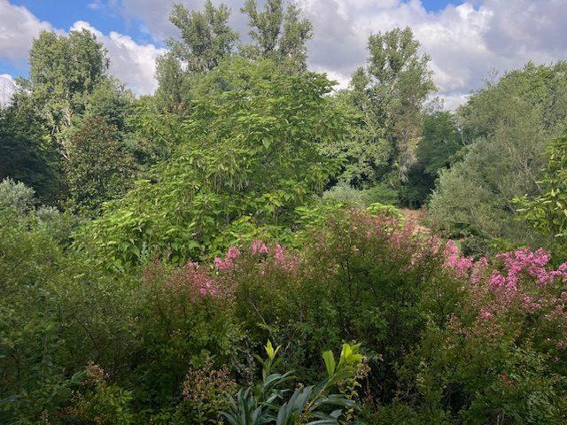 Maison - 500 m² - 10 pièces