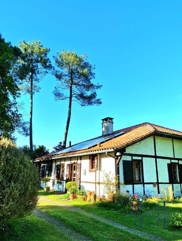 Maison ancienne - 160 m² - 9 pièces