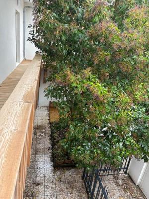 Appartement - 59 m² - 4 pièces