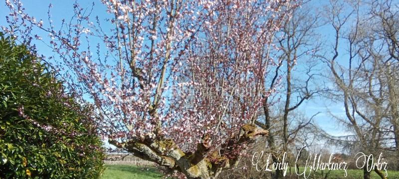 Propriété - 200 m² - 6 pièces