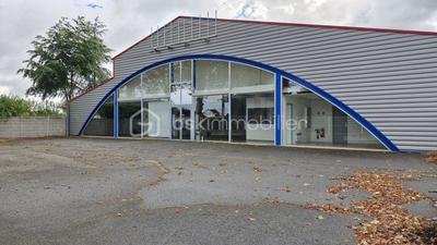 Local commercial - 650 m² - 10 pièces