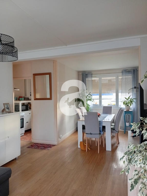 Appartement - 55 m² - 3 pièces