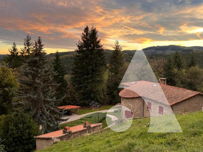 Demeure - 448 m² - 12 pièces