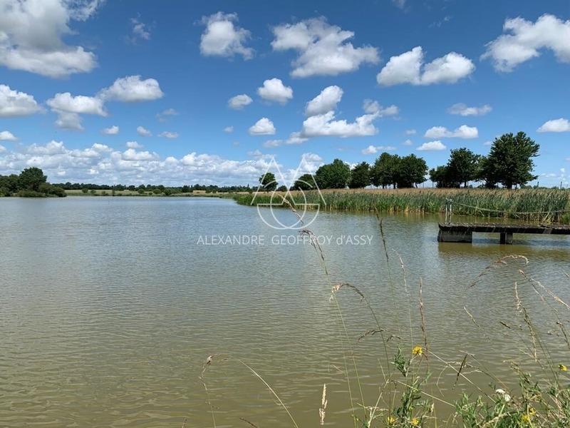 Château - 1 100 m² - 19 pièces