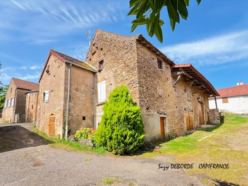 Maison en pierre - 175 m² - 7 pièces