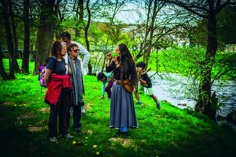 Sortie Nature - Histoires de Plantes