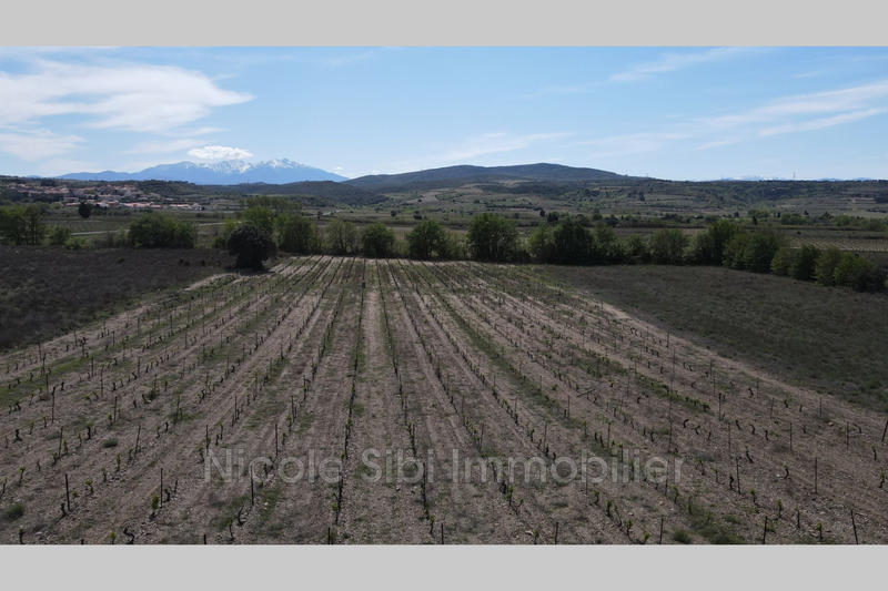 Terrain agricole - 19 998 m²