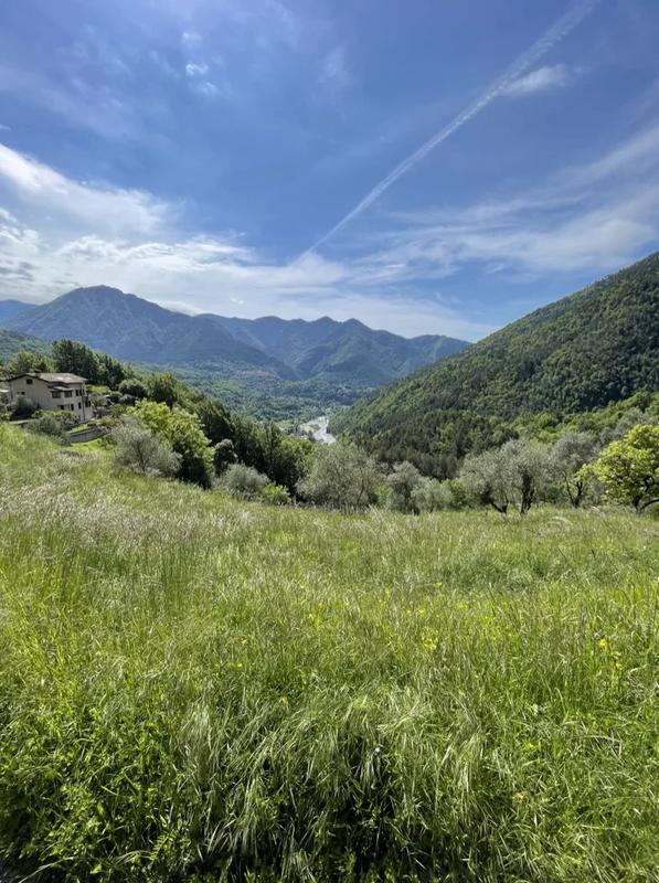 Terrain - 15 590 m²