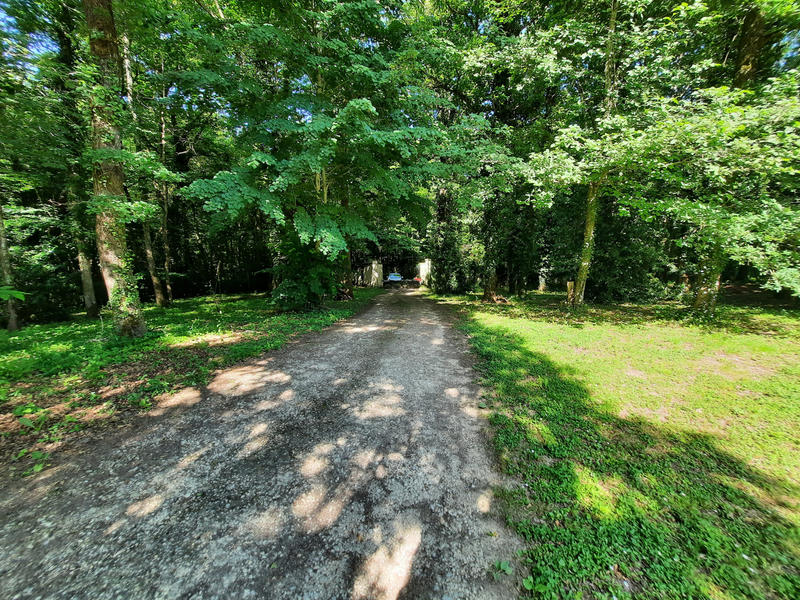 Maison - 313 m² - 7 pièces