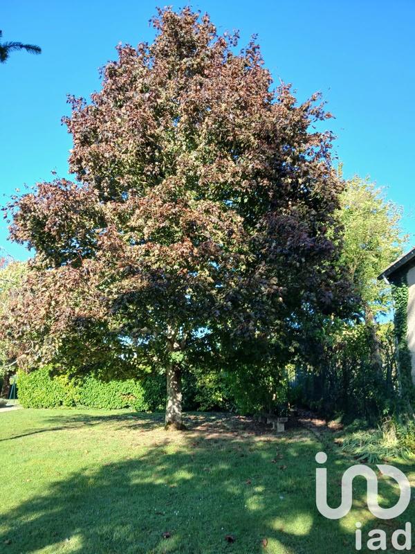 Maison - 212 m² - 8 pièces