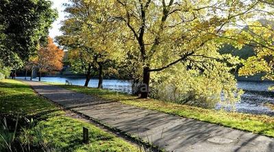 Appartement - 84 m² - 3 pièces