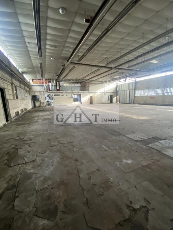 Entrepôt - 984 m²