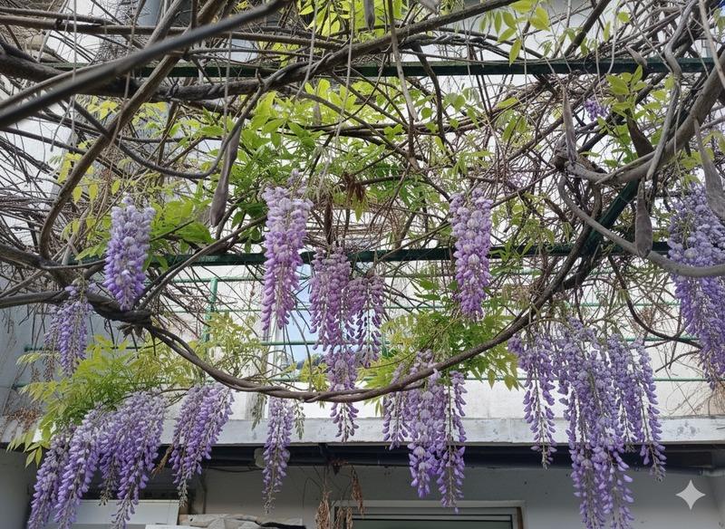 Maison - 120 m² - 7 pièces