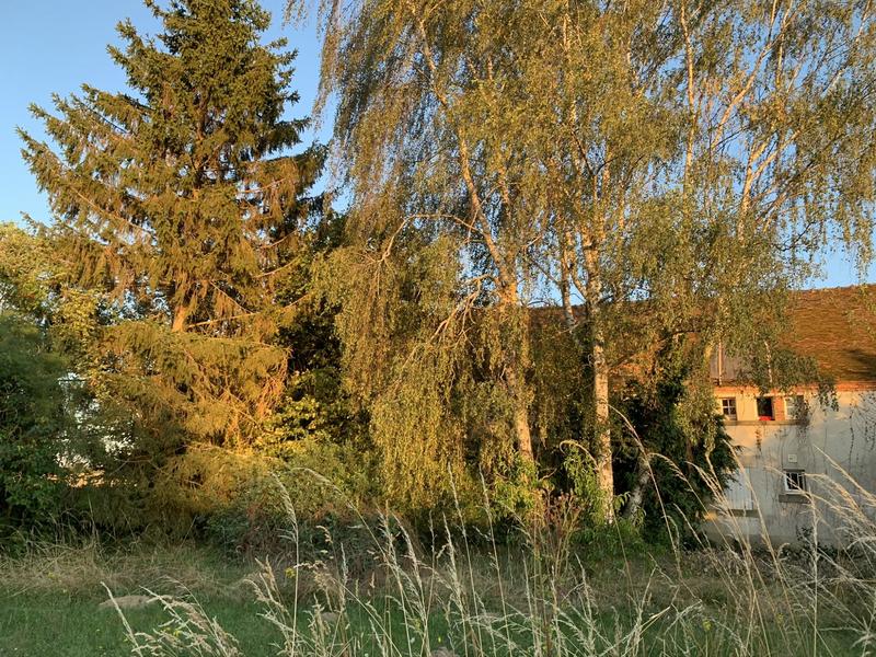 Maison ancienne - 287 m² - 10 pièces