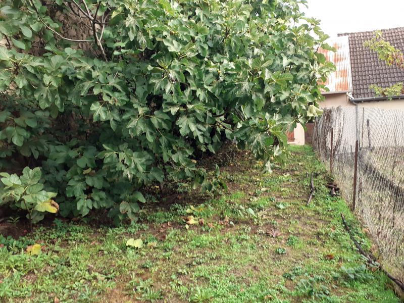 Maison - 97 m² - 4 pièces