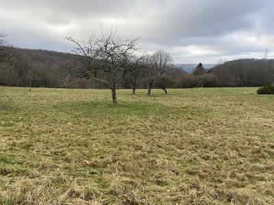 Terrain - 931 m²