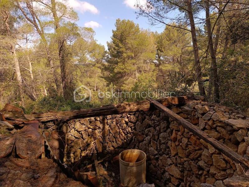 Terrain agricole - 7 800 m²