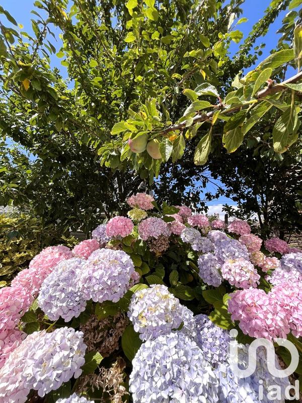 Maison - 50 m² - 3 pièces