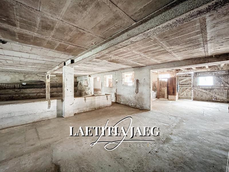 Maison - 650 m² - 1 pièce