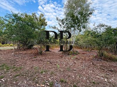 Terrain de loisirs - 2 770 m²